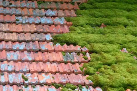 Why Choose Stewart's roofing contractor? project gallery image 8